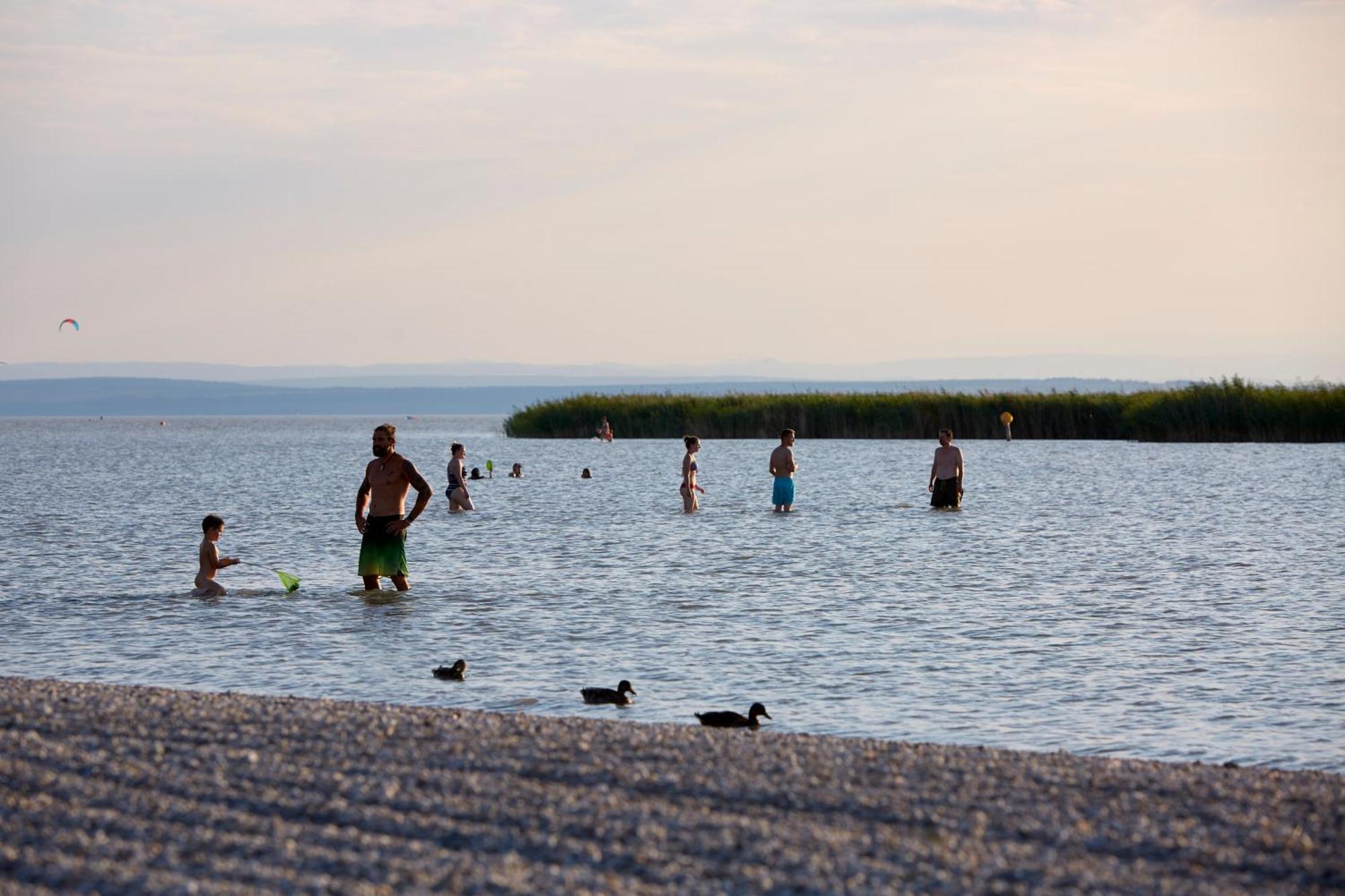 Seewirt & Haus Attila Podersdorf am See Bagian luar foto