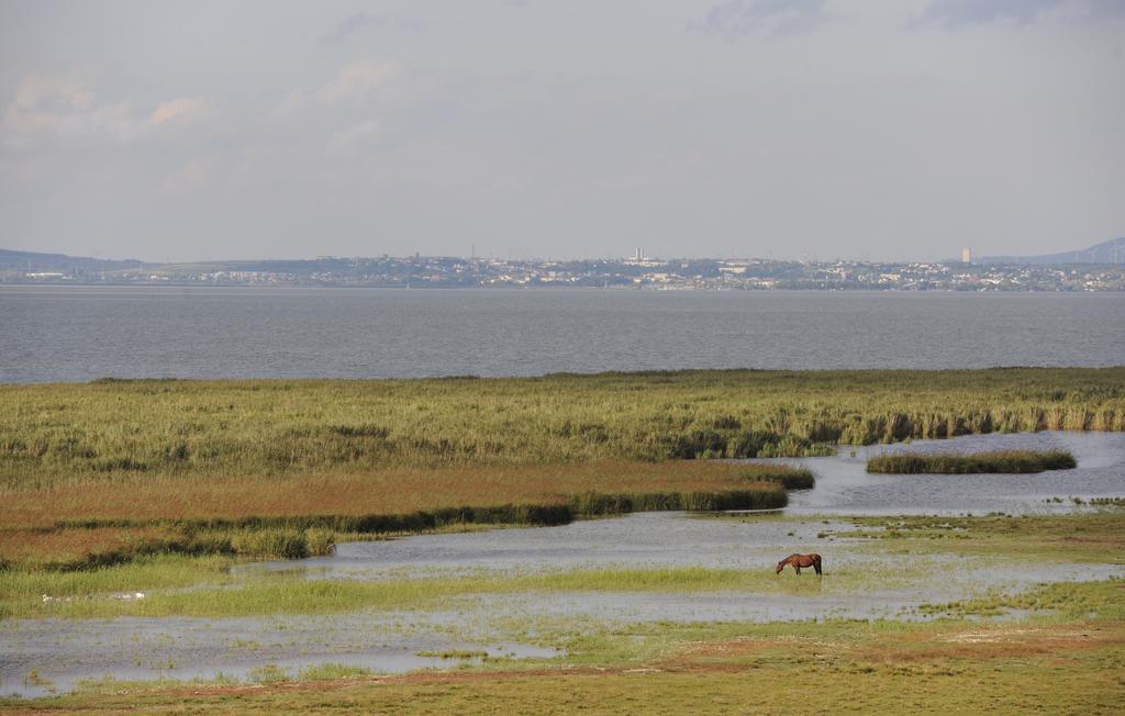 Seewirt & Haus Attila Podersdorf am See Bagian luar foto